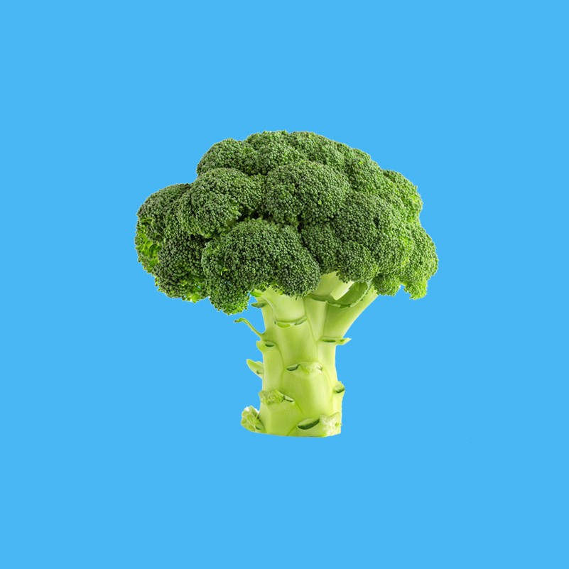 Brocolli_Blue_800x800px